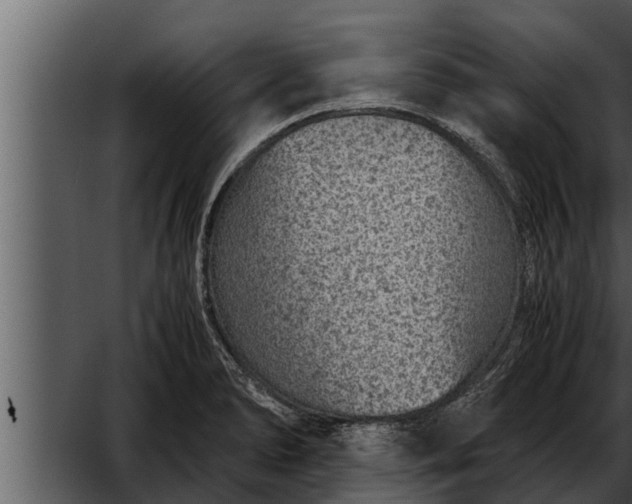 X0000052601278200507160001