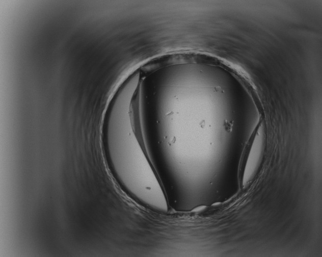 X0000052601279200507160001