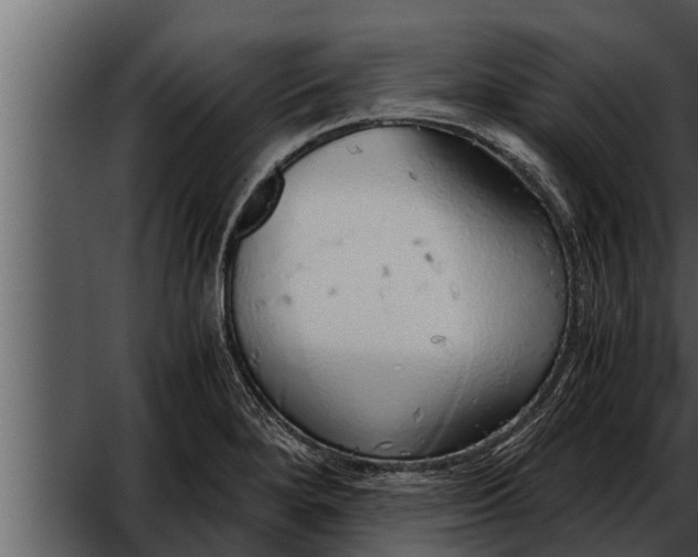 X0000052601280200507160001