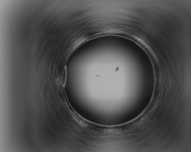 X0000052601281200507160001