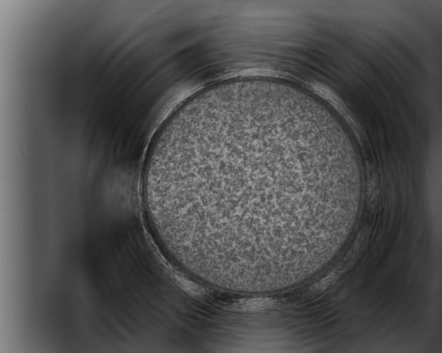 X0000052601282200507160001