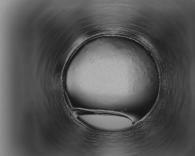 X0000052601283200507160001