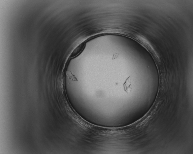 X0000052601284200507160001