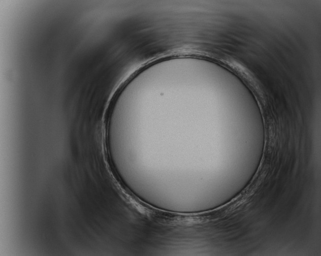 X0000052601286200507160001