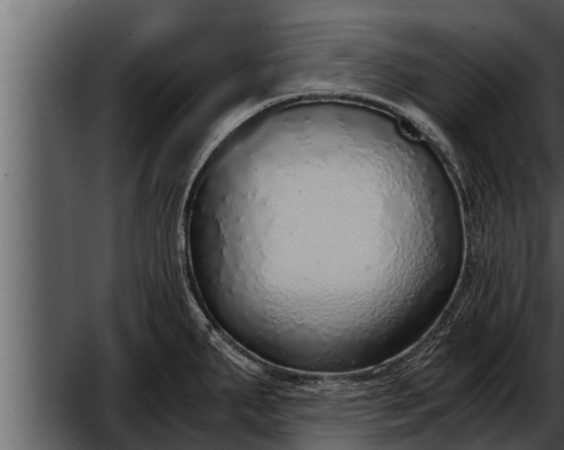 X0000052601287200507160001