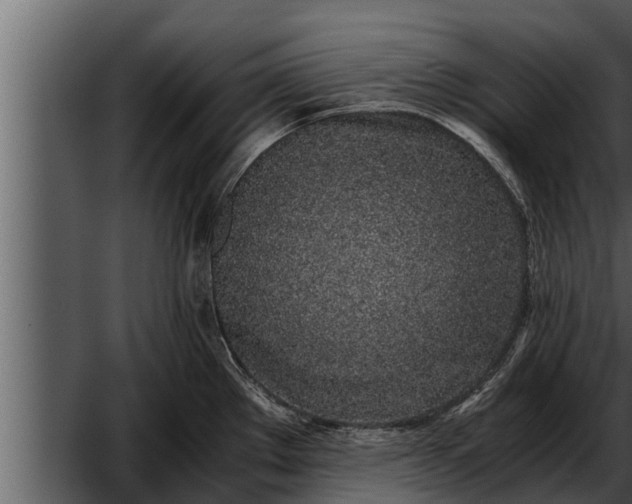 X0000052601289200507160001