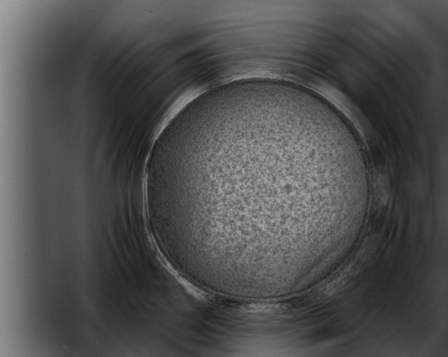 X0000052601290200507160001