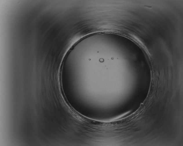 X0000052601291200507160001