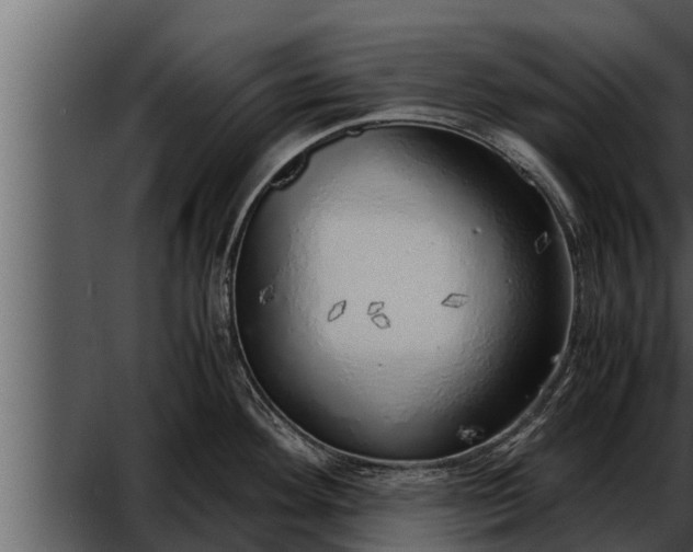 X0000052601292200507160001