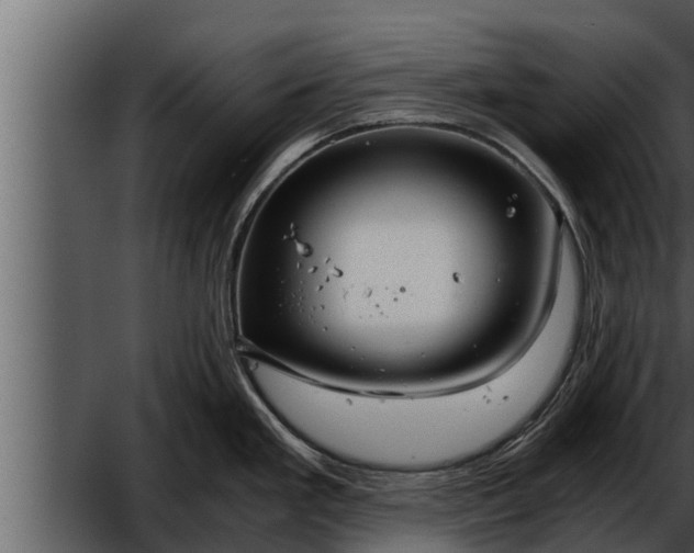 X0000052601293200507160001