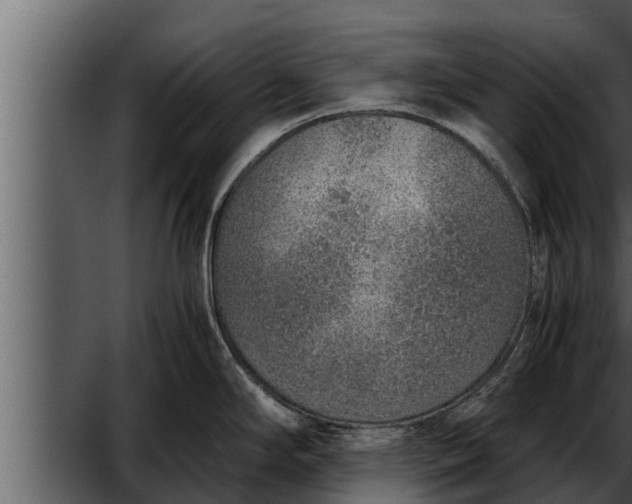 X0000052601294200507160001