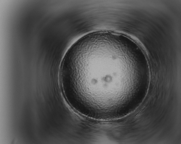 X0000052601295200507160001