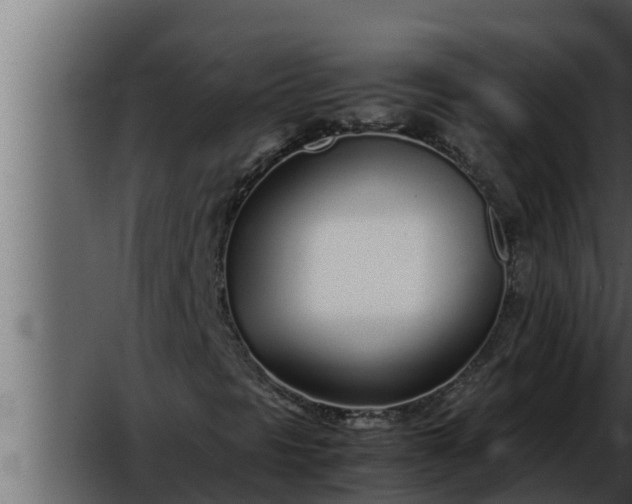 X0000052601297200507160000