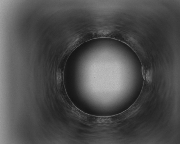 X0000052601299200507160000