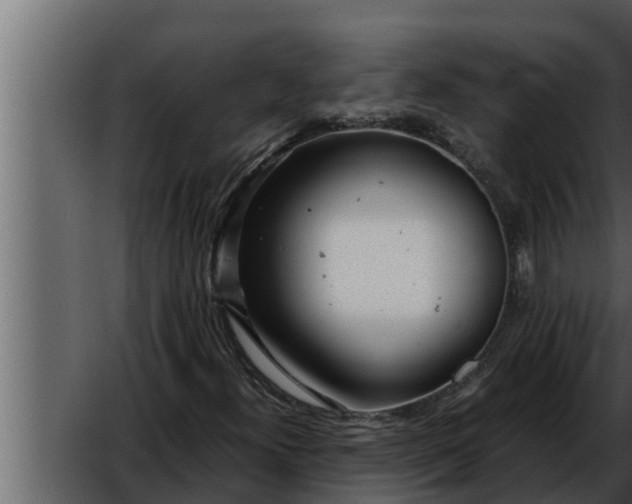 X0000052601300200507160000