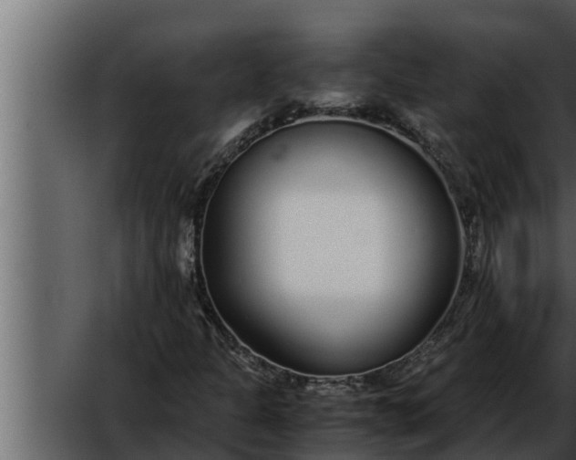 X0000052601301200507160000