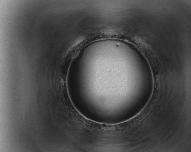 X0000052601302200507160000