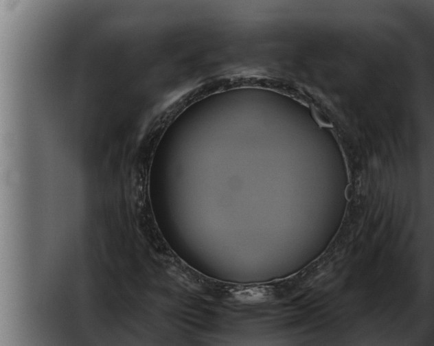 X0000052601303200507160000