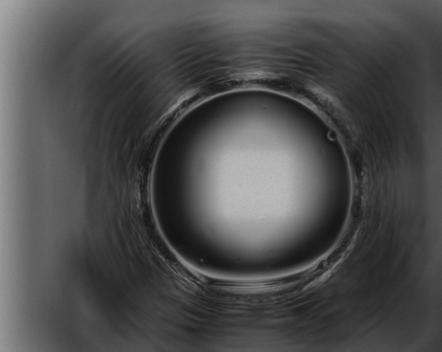 X0000052601305200507160000