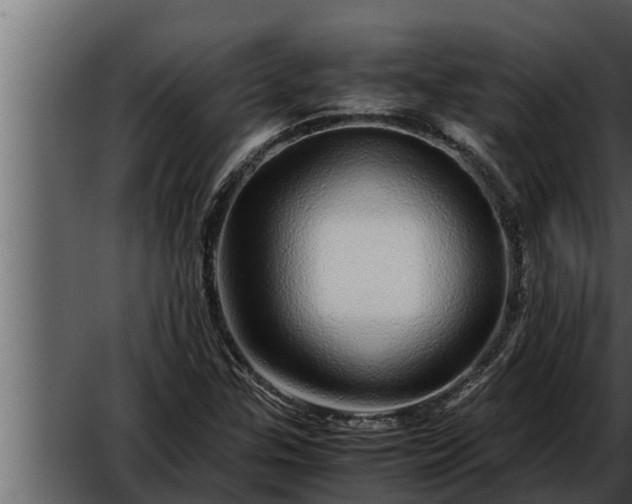 X0000052601307200507160000