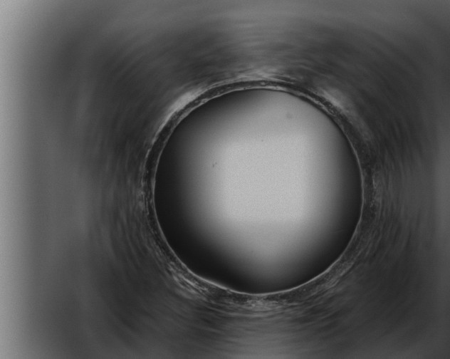 X0000052601308200507160000