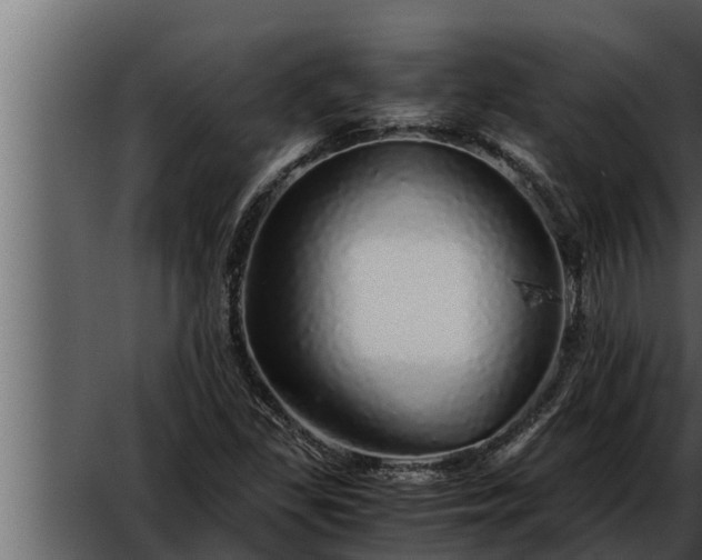 X0000052601309200507160000