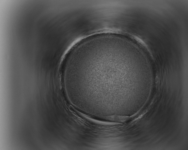 X0000052601310200507160000