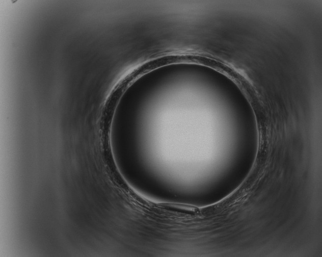 X0000052601311200507160000