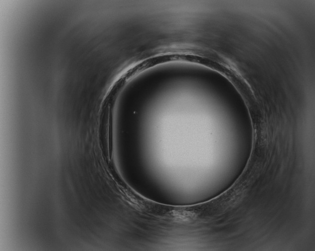 X0000052601312200507160000