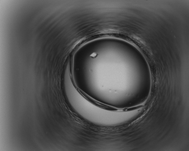 X0000052601313200507160000