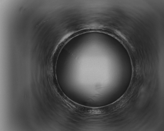 X0000052601315200507160000