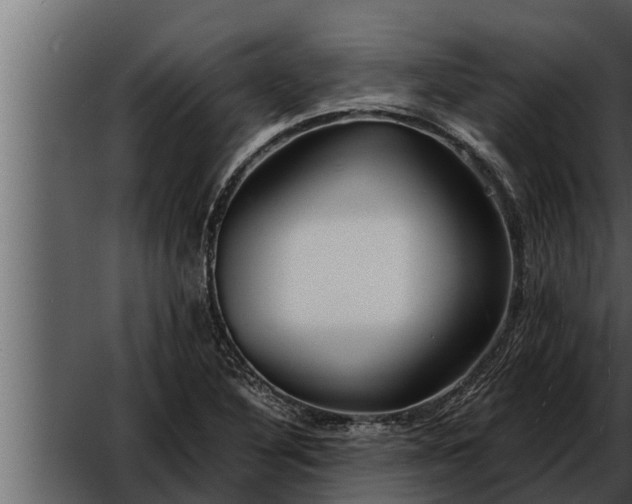 X0000052601316200507160000