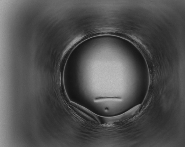 X0000052601317200507160000