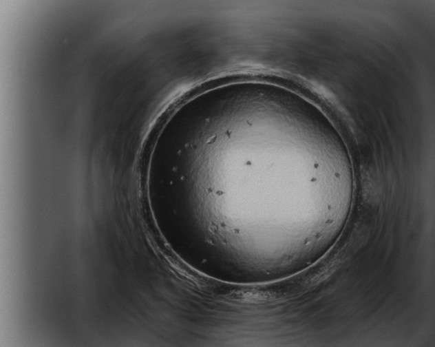 X0000052601318200507160000