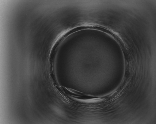 X0000052601319200507160000