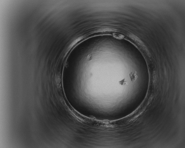 X0000052601321200507160000