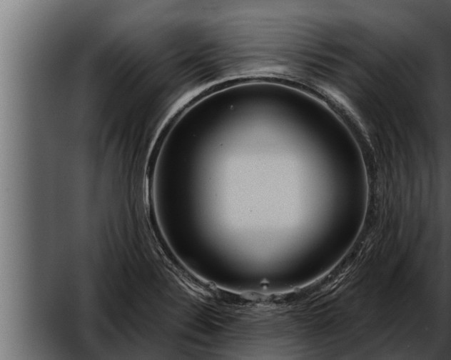 X0000052601324200507160001