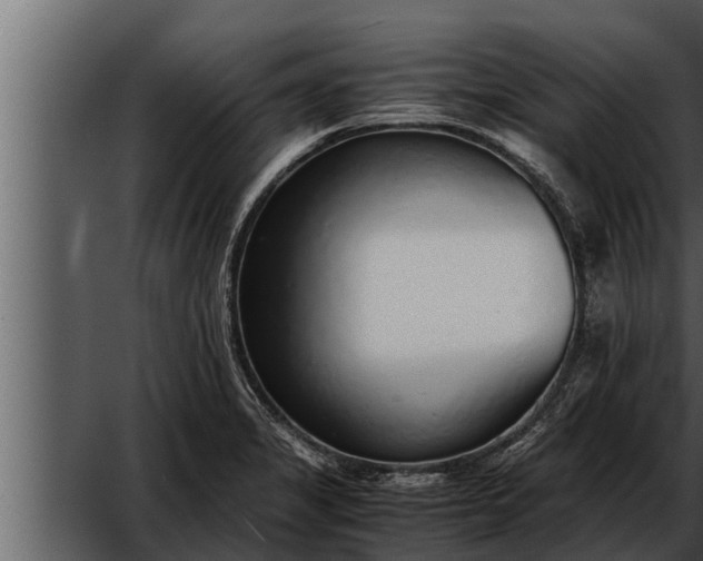 X0000052601325200507160001