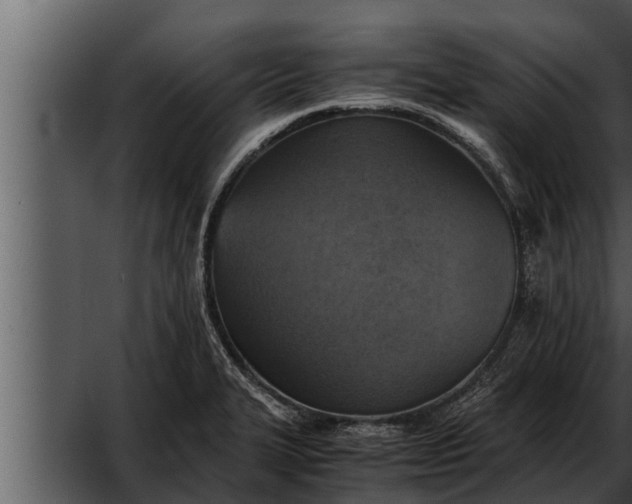 X0000052601327200507160001