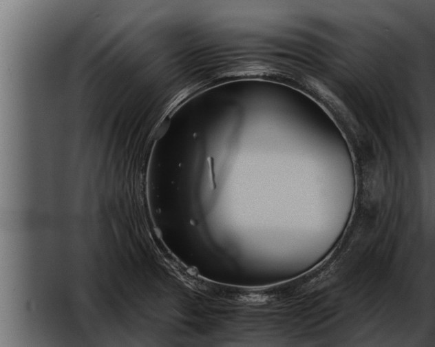 X0000052601329200507160001