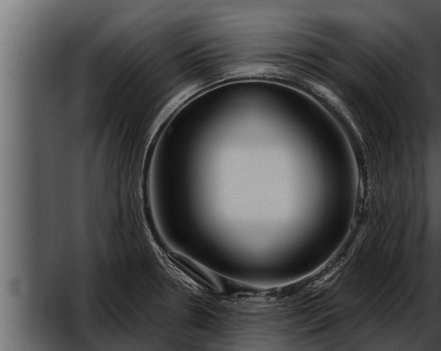 X0000052601330200507160001