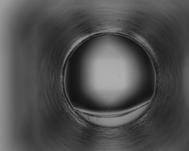 X0000052601332200507160001