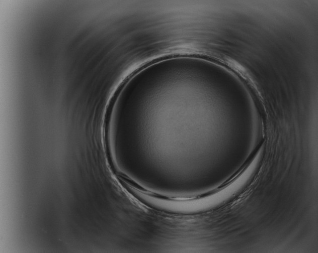 X0000052601334200507160001