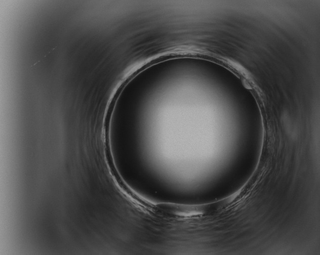 X0000052601335200507160001