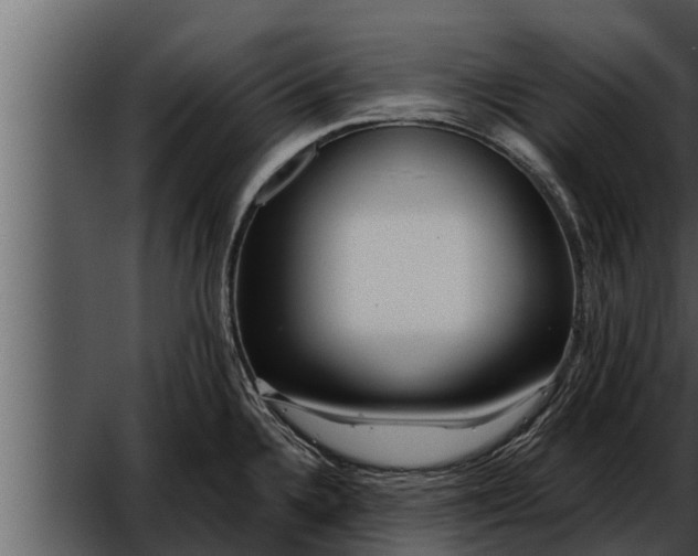 X0000052601336200507160001