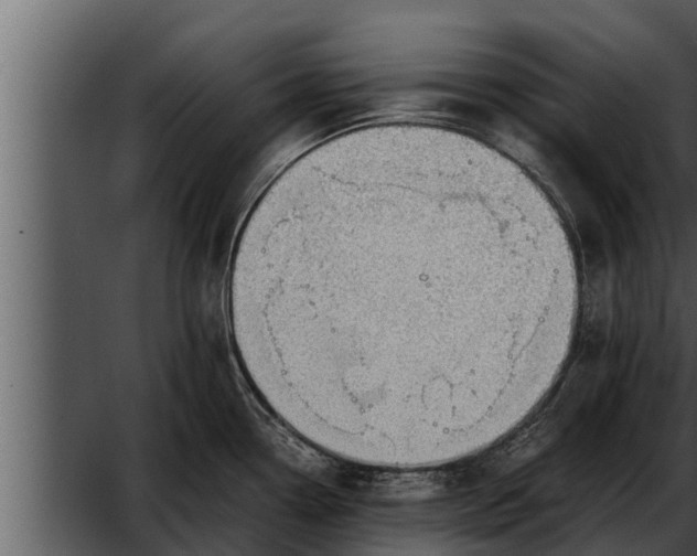 X0000052601338200507160001