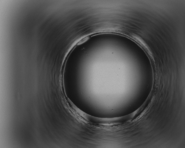 X0000052601340200507160001