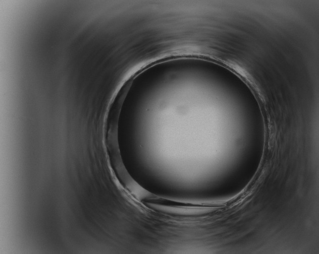 X0000052601342200507160001