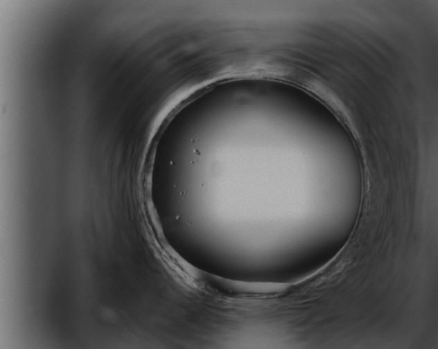 X0000052601344200507160001