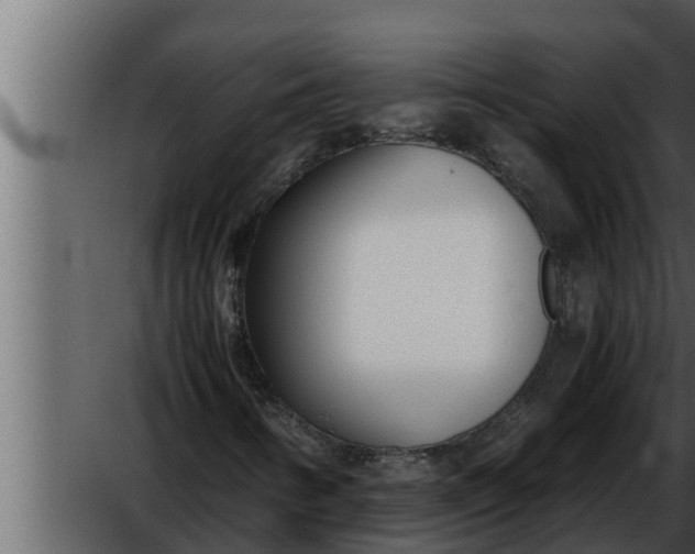 X0000052601346200507160000